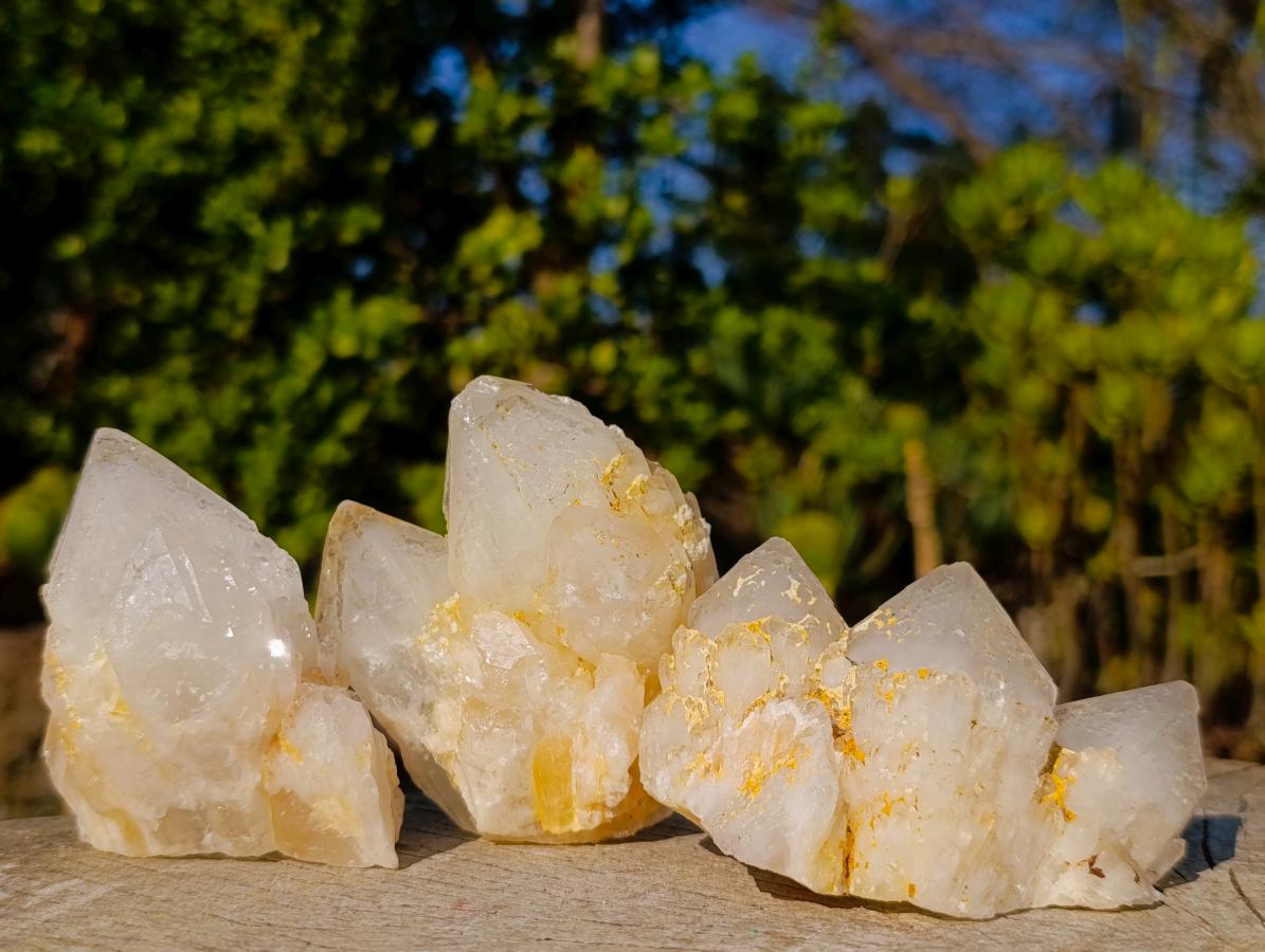 Natural Cascading "Anananas" Candle Quartz Clusters x 7 From Antsirabe, Madagascar - Toprock Gemstones and Minerals 