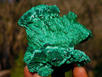 Natural Silky Malachite Specimens x 6 From Kasompe, Congo - Toprock Gemstones and Minerals 