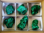 Natural Silky Malachite Specimens x 6 From Kasompe, Congo - Toprock Gemstones and Minerals 
