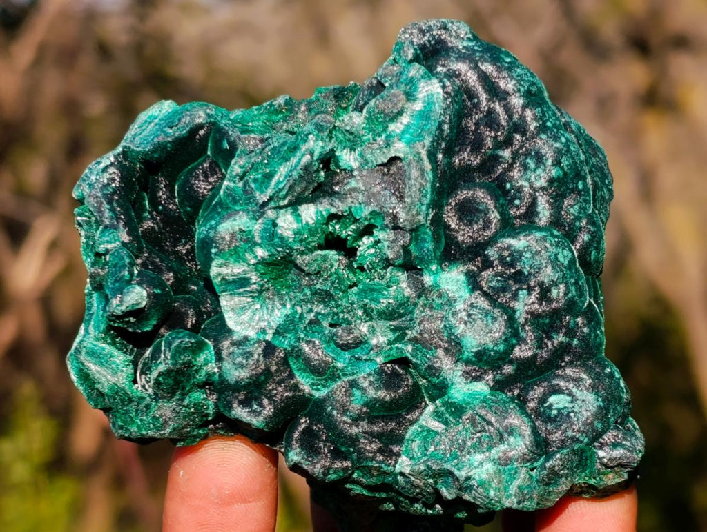 Natural Silky Malachite Specimens x 6 From Kasompe, Congo - Toprock Gemstones and Minerals 