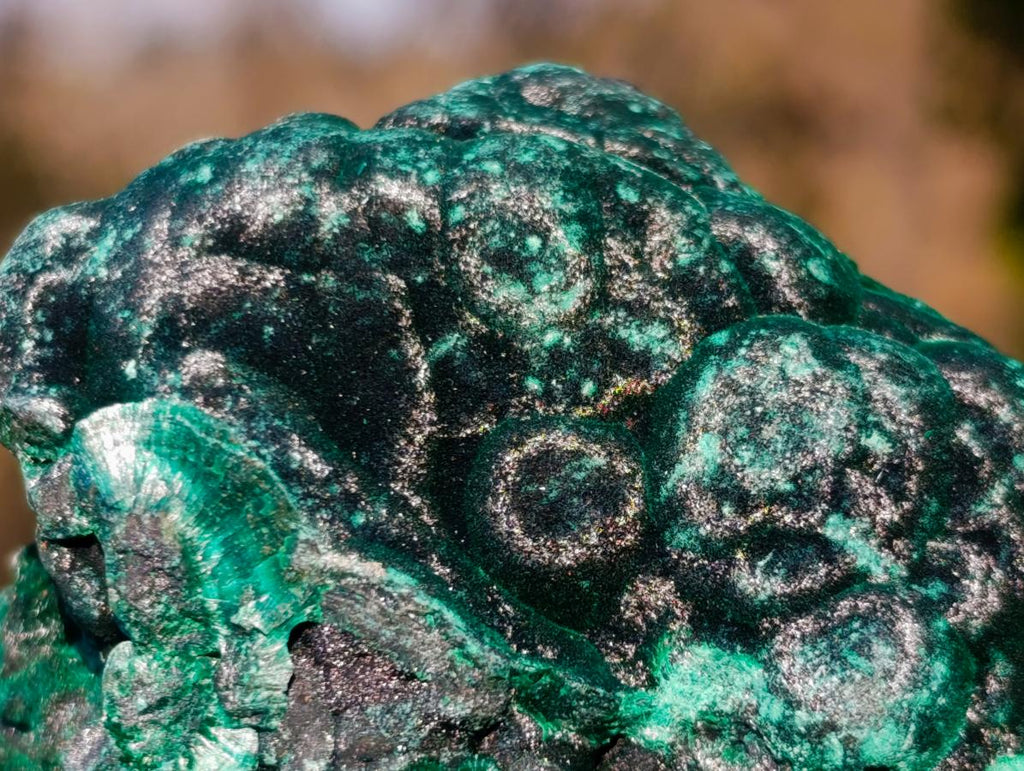 Natural Silky Malachite Specimens x 6 From Kasompe, Congo - Toprock Gemstones and Minerals 