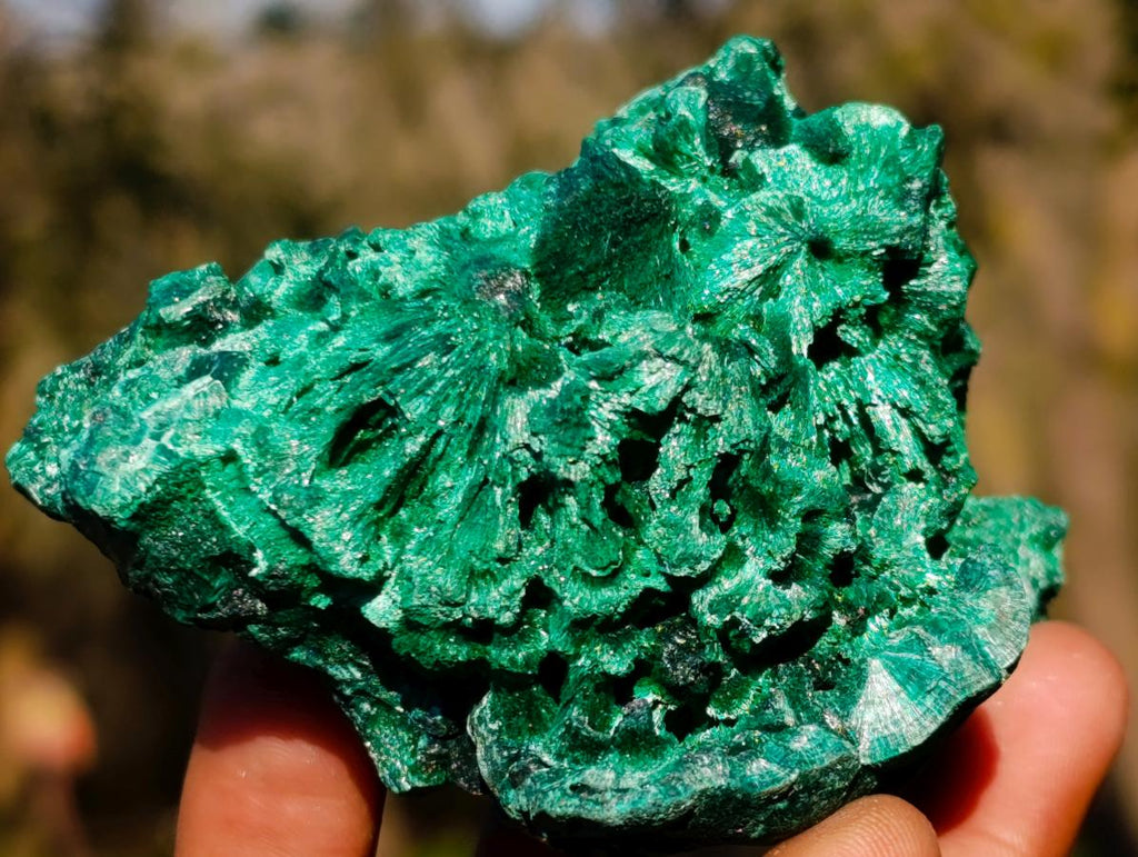 Natural Silky Malachite Specimens x 6 From Kasompe, Congo - Toprock Gemstones and Minerals 
