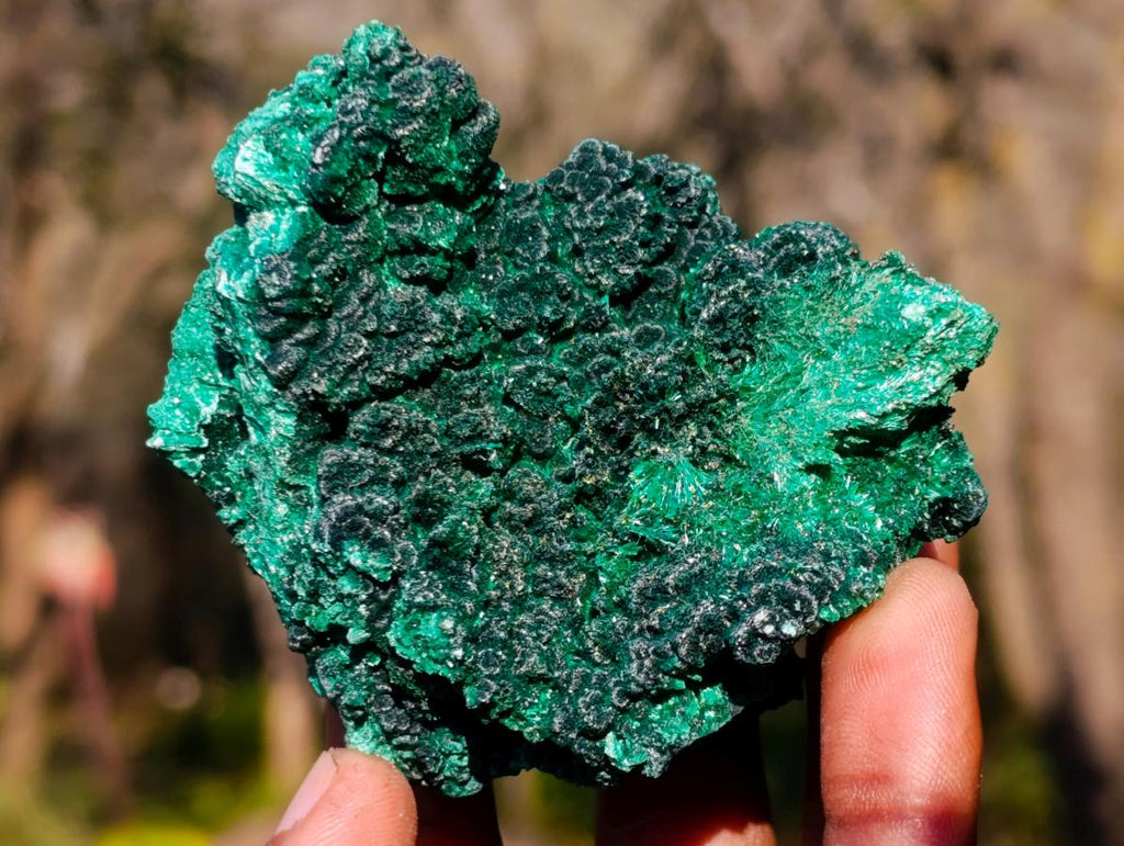 Natural Silky Malachite Specimens x 6 From Kasompe, Congo - Toprock Gemstones and Minerals 