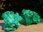Natural Silky Malachite Specimens x 6 From Kasompe, Congo - Toprock Gemstones and Minerals 