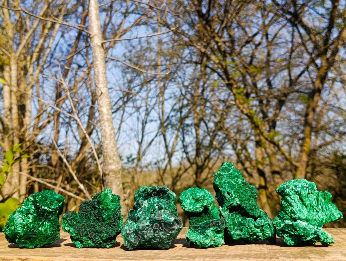 Natural Silky Malachite Specimens x 6 From Kasompe, Congo - Toprock Gemstones and Minerals 