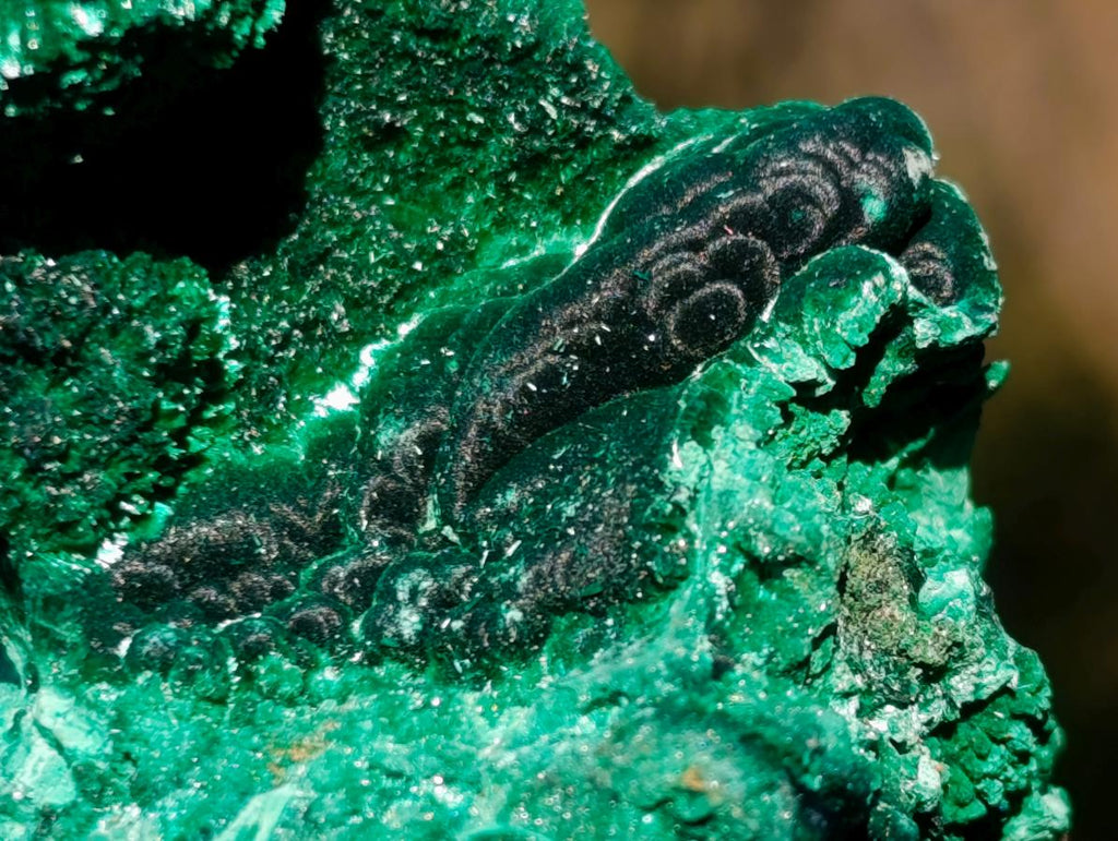 Natural Silky Malachite Specimens x 6 From Kasompe, Congo - Toprock Gemstones and Minerals 