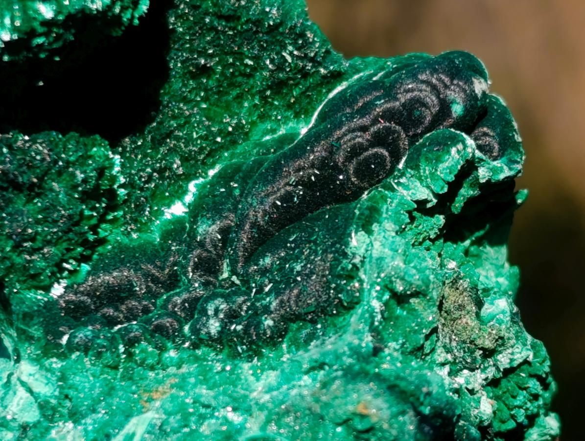 Natural Silky Malachite Specimens x 6 From Kasompe, Congo - Toprock Gemstones and Minerals 