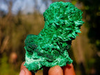 Natural Silky Malachite Specimens x 6 From Kasompe, Congo - Toprock Gemstones and Minerals 