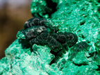Natural Silky Malachite Specimens x 6 From Kasompe, Congo - Toprock Gemstones and Minerals 