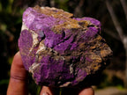 Natural Metallic Cobbed Purpurite Specimens x 6 From Erongo, Namibia - Toprock Gemstones and Minerals 
