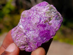 Natural Cobbed Stichtite Specimens x 35 From Barberton, South Africa - Toprock Gemstones and Minerals 