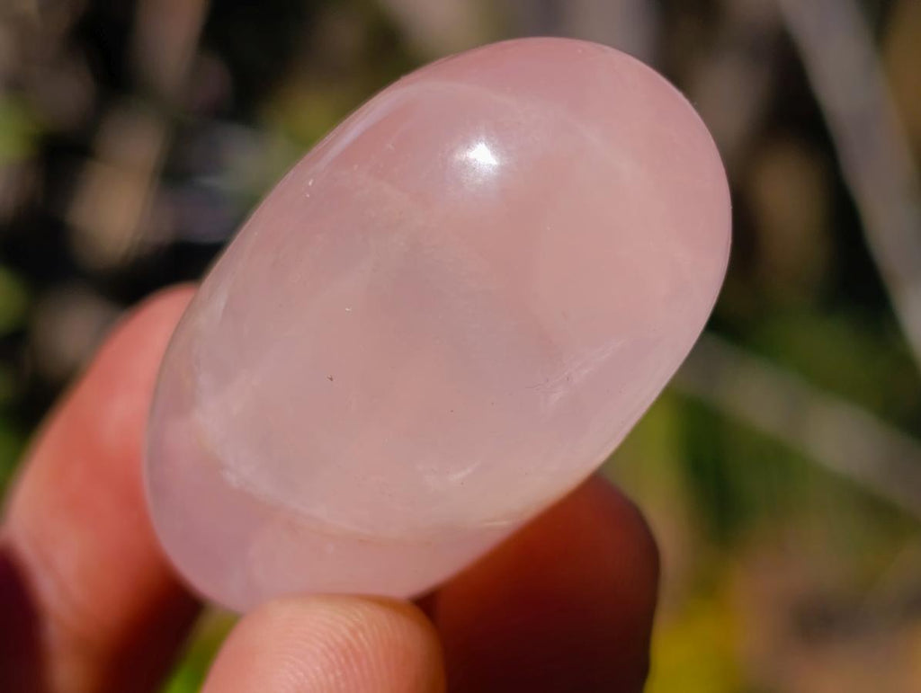 Polished Gemmy Rose Quartz Ampule Shaped Free Forms x 37 From Madagascar - Toprock Gemstones and Minerals 