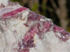 Natural Pink Rubellite Tourmaline Specimens x 4 From Karibib, Namibia - Toprock Gemstones and Minerals 