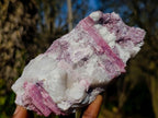 Natural Pink Rubellite Tourmaline Specimens x 4 From Karibib, Namibia - Toprock Gemstones and Minerals 