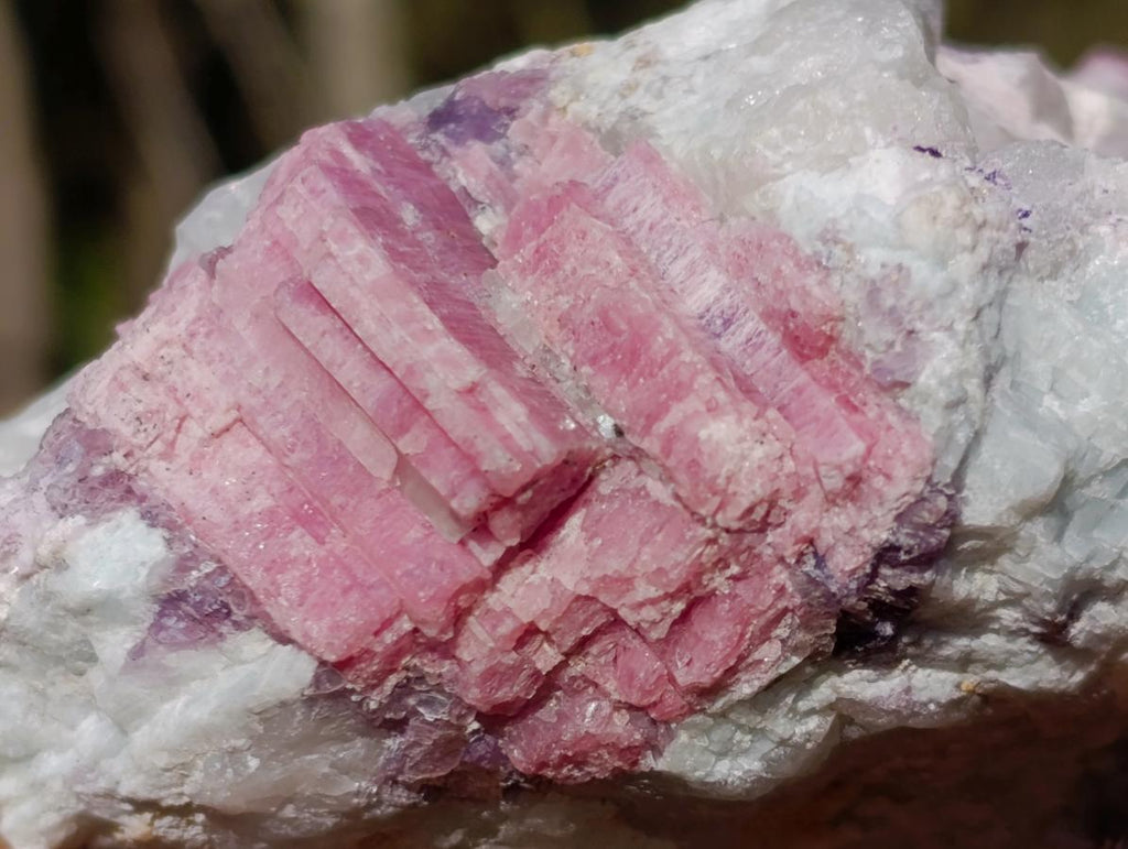 Natural Pink Rubellite Tourmaline Specimens x 4 From Karibib, Namibia - Toprock Gemstones and Minerals 