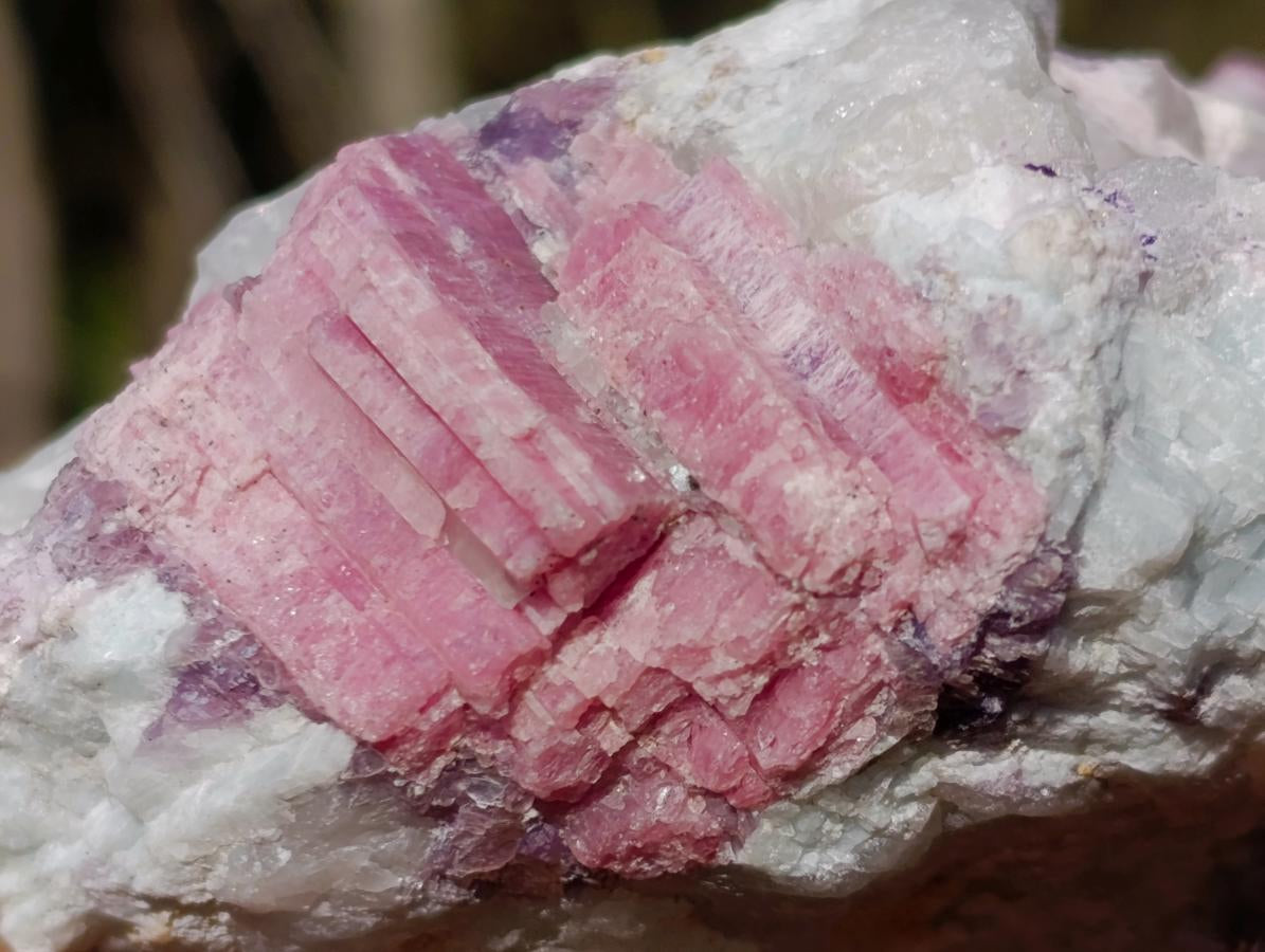 Natural Pink Rubellite Tourmaline Specimens x 4 From Karibib, Namibia - Toprock Gemstones and Minerals 