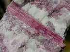 Natural Pink Rubellite Tourmaline Specimens x 4 From Karibib, Namibia - Toprock Gemstones and Minerals 