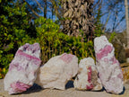 Natural Pink Rubellite Tourmaline Specimens x 4 From Karibib, Namibia - Toprock Gemstones and Minerals 