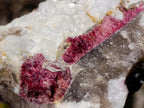 Natural Pink Rubellite Tourmaline Specimens x 4 From Karibib, Namibia - Toprock Gemstones and Minerals 