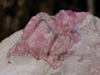 Natural Pink Rubellite Tourmaline Specimens x 4 From Karibib, Namibia - Toprock Gemstones and Minerals 
