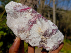 Natural Pink Rubellite Tourmaline Specimens x 4 From Karibib, Namibia - Toprock Gemstones and Minerals 
