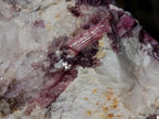 Natural Pink Rubellite Tourmaline Specimens x 4 From Karibib, Namibia - Toprock Gemstones and Minerals 