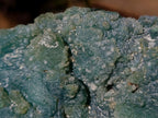 Polished One Side Mtorolite Chrysoprase Slices x 4 From Mutorashanga, Zimbabwe - Toprock Gemstones and Minerals 