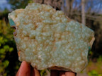 Polished One Side Mtorolite Chrysoprase Slices x 4 From Mutorashanga, Zimbabwe - Toprock Gemstones and Minerals 