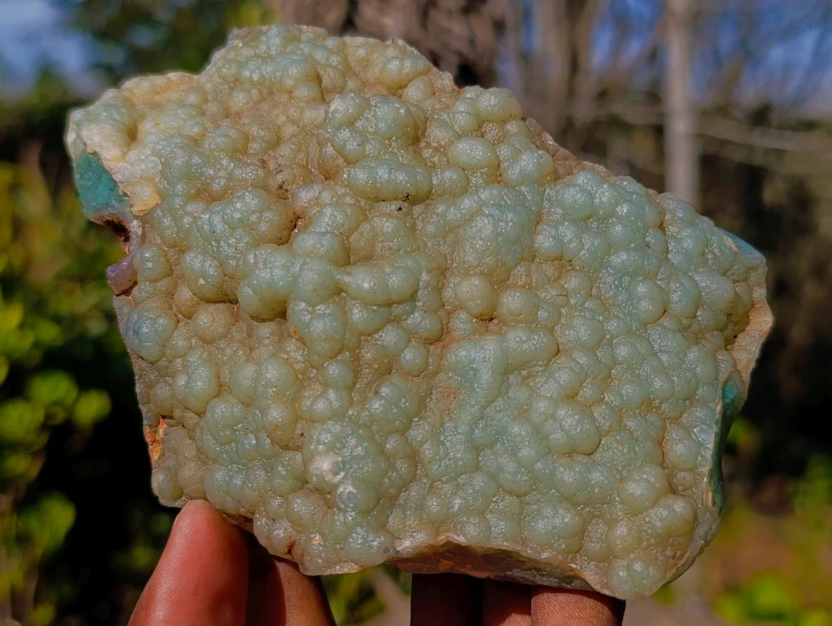 Polished One Side Mtorolite Chrysoprase Slices x 4 From Mutorashanga, Zimbabwe - Toprock Gemstones and Minerals 