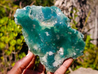 Polished One Side Mtorolite Chrysoprase Slices x 4 From Mutorashanga, Zimbabwe - Toprock Gemstones and Minerals 