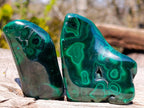 Polished Flower Banded Malachite Free Forms x 6 From Congo - Toprock Gemstones and Minerals 