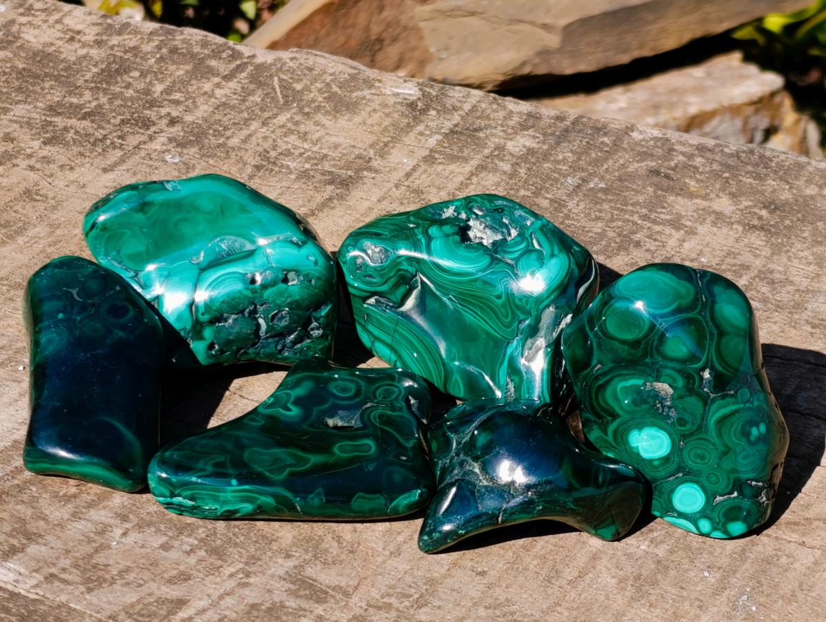 Polished Flower Banded Malachite Free Forms x 6 From Congo - Toprock Gemstones and Minerals 