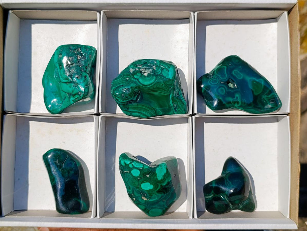 Polished Flower Banded Malachite Free Forms x 6 From Congo - Toprock Gemstones and Minerals 