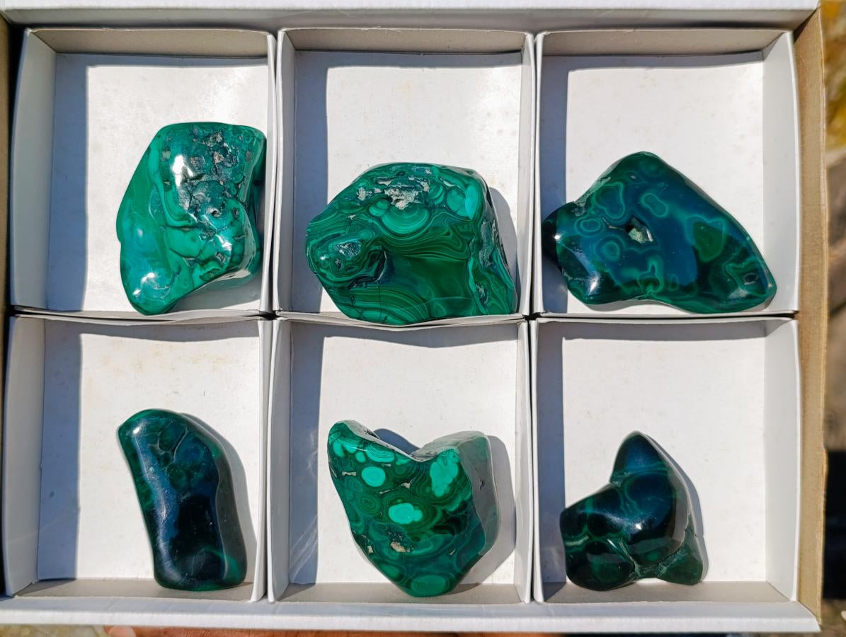 Polished Flower Banded Malachite Free Forms x 6 From Congo - Toprock Gemstones and Minerals 