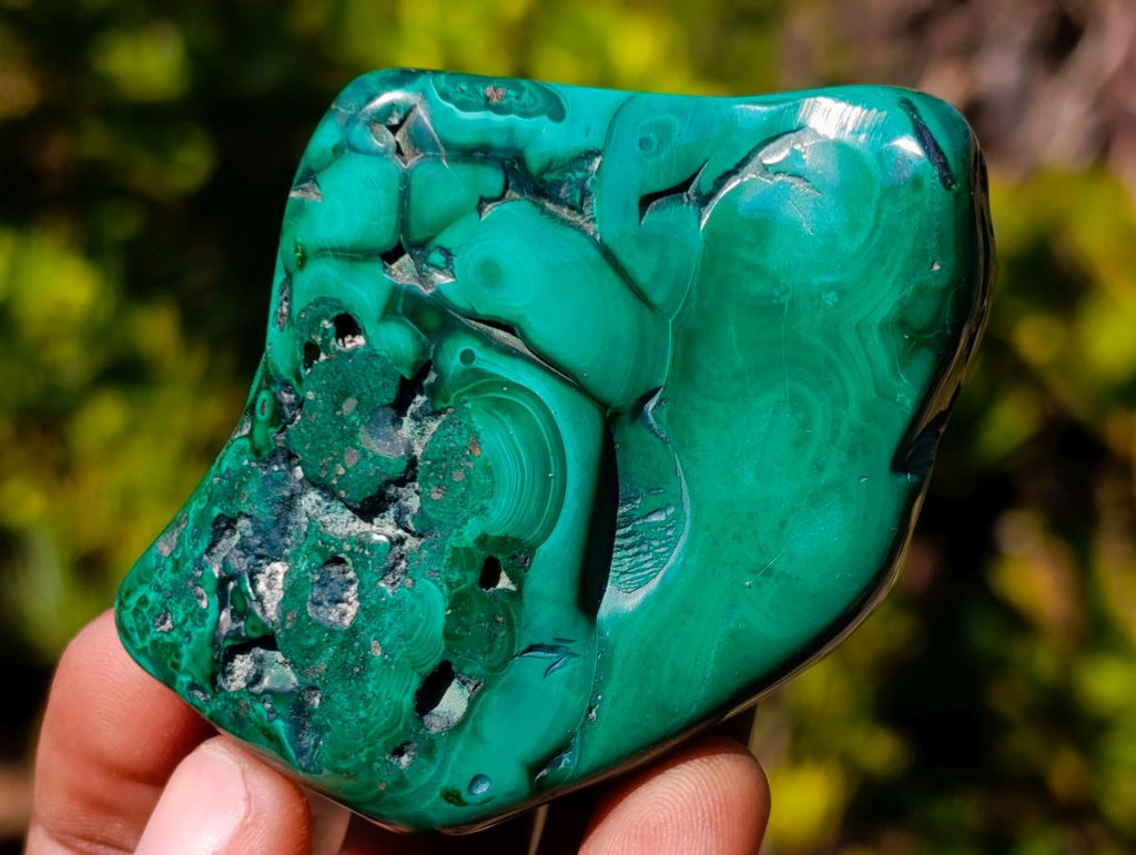 Polished Flower Banded Malachite Free Forms x 6 From Congo - Toprock Gemstones and Minerals 