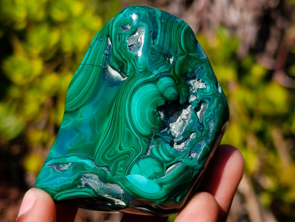 Polished Flower Banded Malachite Free Forms x 6 From Congo - Toprock Gemstones and Minerals 