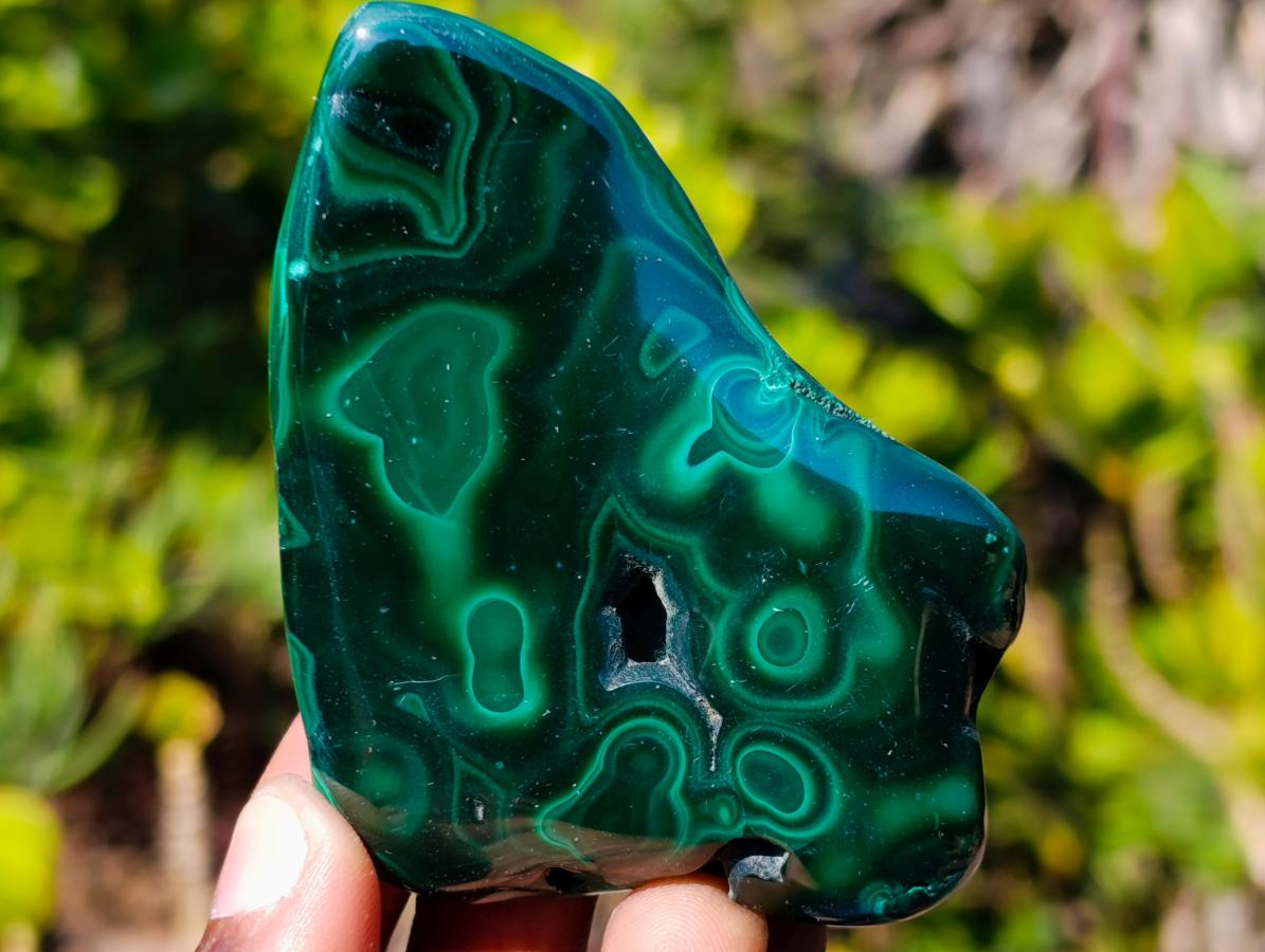 Polished Flower Banded Malachite Free Forms x 6 From Congo - Toprock Gemstones and Minerals 