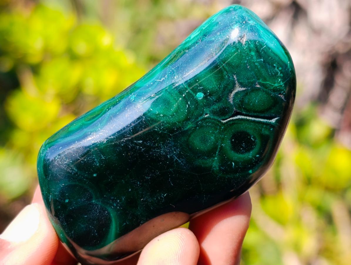 Polished Flower Banded Malachite Free Forms x 6 From Congo - Toprock Gemstones and Minerals 