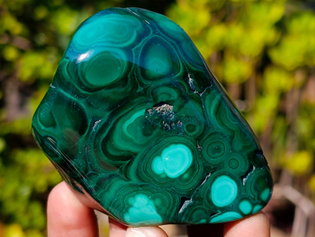 Polished Flower Banded Malachite Free Forms x 6 From Congo - Toprock Gemstones and Minerals 