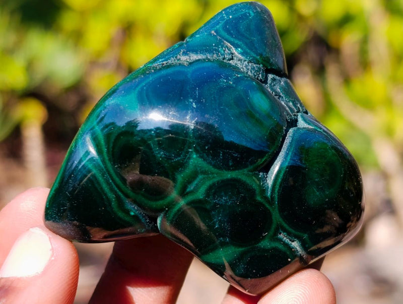 Polished Flower Banded Malachite Free Forms x 6 From Congo - Toprock Gemstones and Minerals 