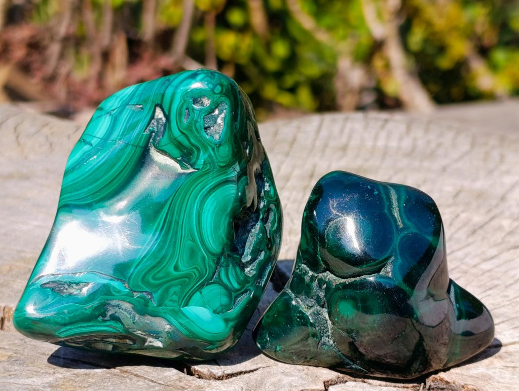 Polished Flower Banded Malachite Free Forms x 6 From Congo - Toprock Gemstones and Minerals 