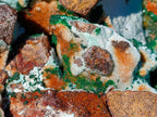 Natural Large Drusy Coated Chrysocolla Specimen with Crystalline Malachite on Copper Dolomite x 1 From Lupoto Mine, Congo - Toprock Gemstones and Minerals 