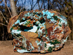 Natural Large Drusy Coated Chrysocolla Specimen with Crystalline Malachite on Copper Dolomite x 1 From Lupoto Mine, Congo - Toprock Gemstones and Minerals 