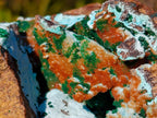 Natural Large Drusy Coated Chrysocolla Specimen with Crystalline Malachite on Copper Dolomite x 1 From Lupoto Mine, Congo - Toprock Gemstones and Minerals 