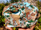 Natural Large Drusy Coated Chrysocolla Specimen with Crystalline Malachite on Copper Dolomite x 1 From Lupoto Mine, Congo - Toprock Gemstones and Minerals 