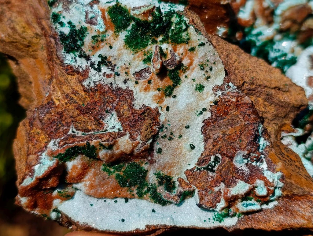 Natural Large Drusy Coated Chrysocolla Specimen with Crystalline Malachite on Copper Dolomite x 1 From Lupoto Mine, Congo - Toprock Gemstones and Minerals 