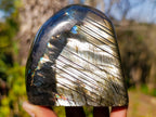 Polished Spectrolite Labradorite Standing Display Pieces x 3 From Madagascar - Toprock Gemstones and Minerals 