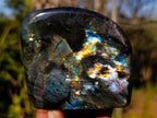 Polished Spectrolite Labradorite Standing Display Pieces x 3 From Madagascar - Toprock Gemstones and Minerals 