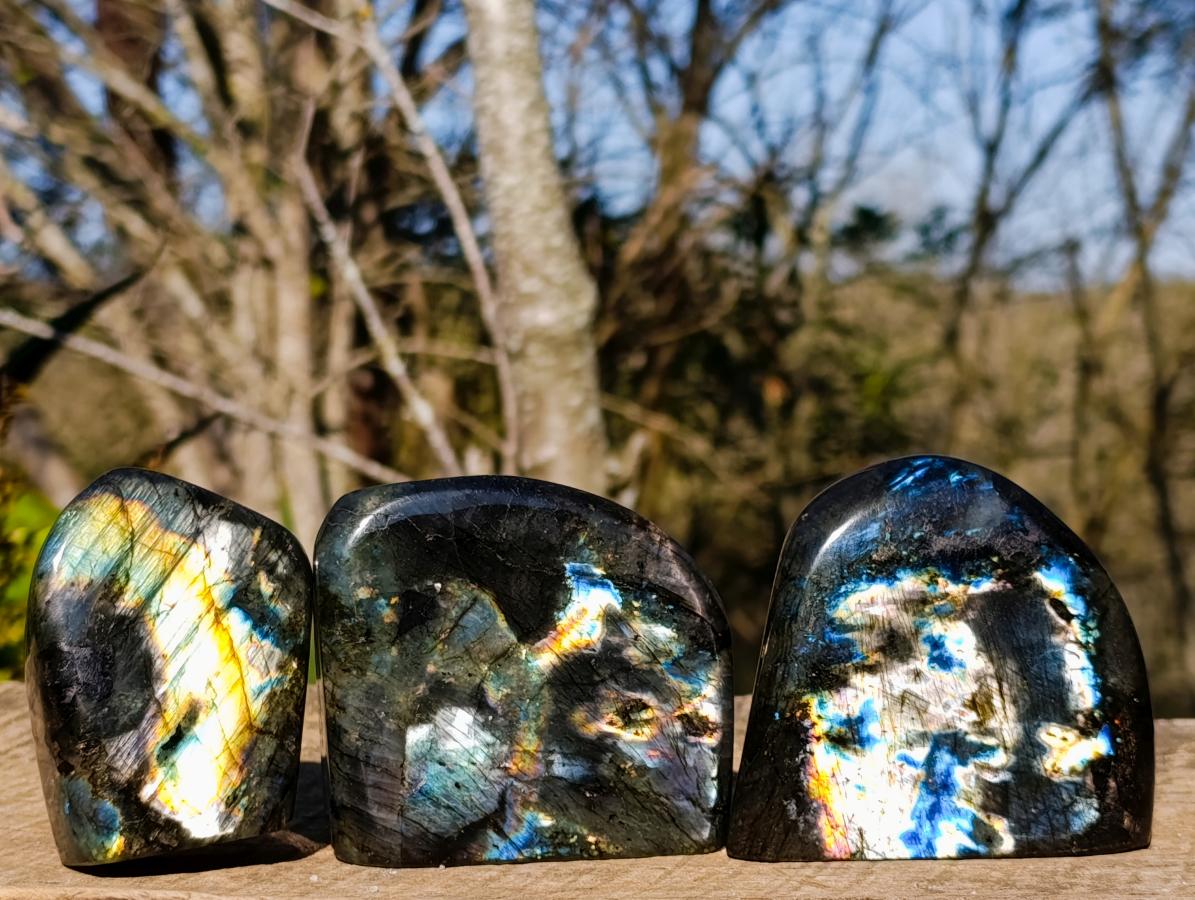 Polished Spectrolite Labradorite Standing Display Pieces x 3 From Madagascar - Toprock Gemstones and Minerals 