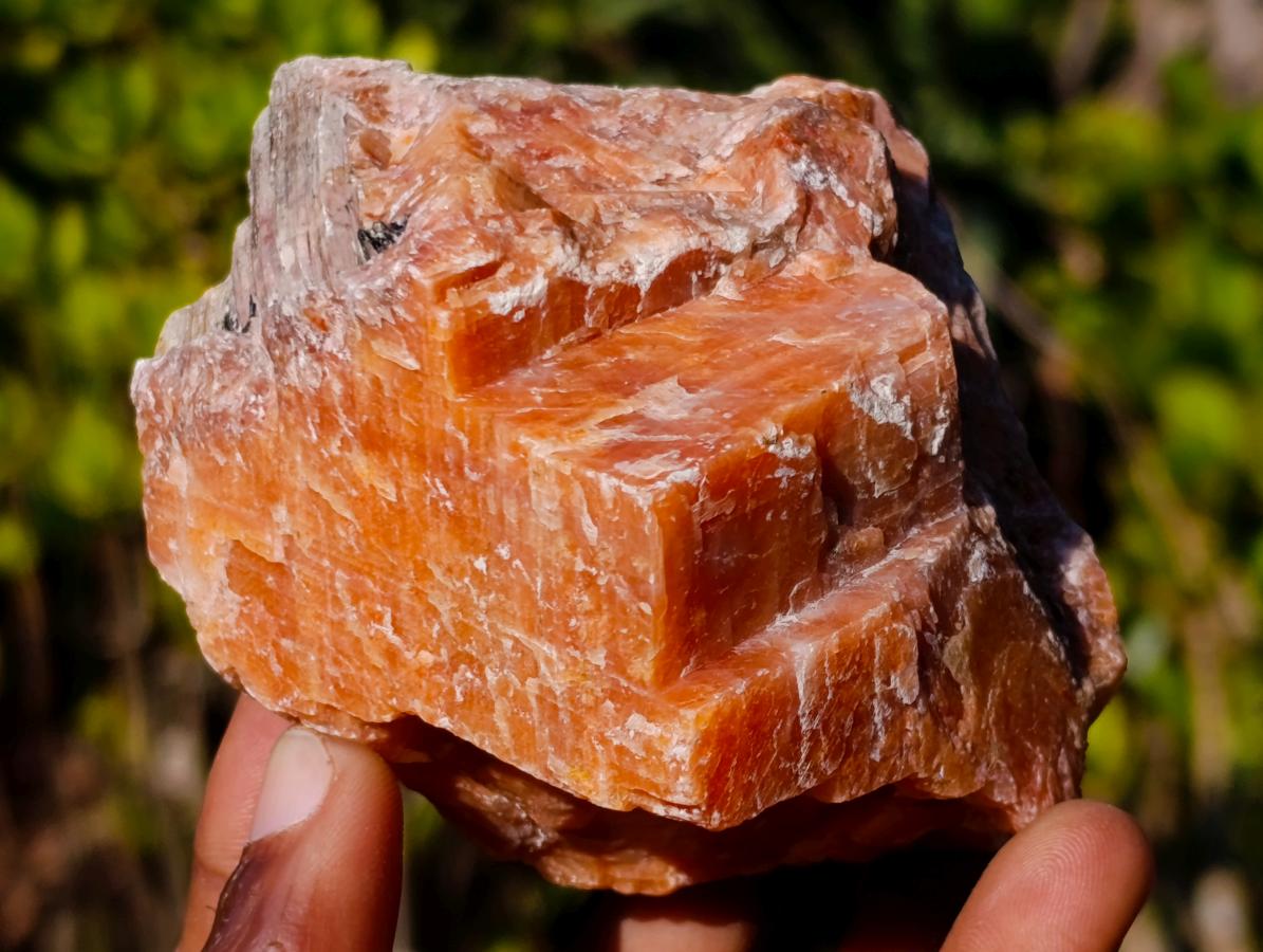 Natural Rhombohedral Sunset Orange Calcite Specimens x 6 From Spitzkop, Namibia - Toprock Gemstones and Minerals 
